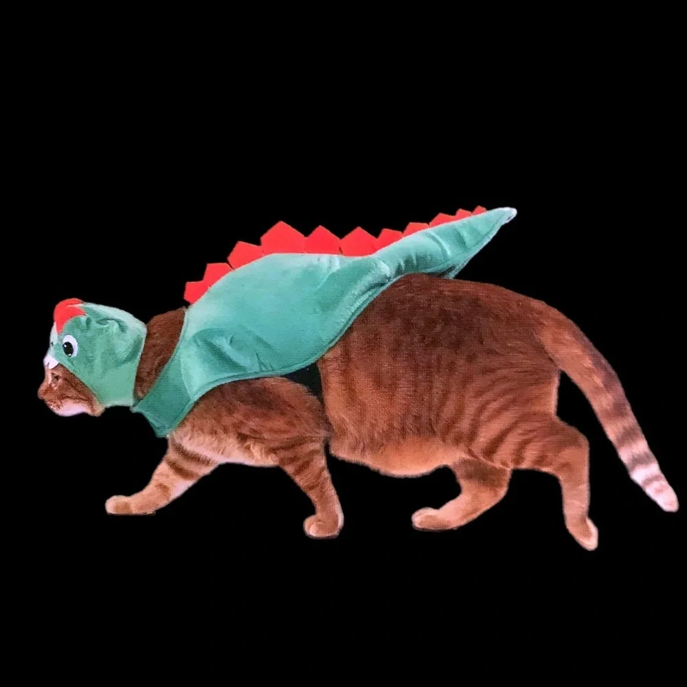 PET DINOSAUR COSTUME NWT